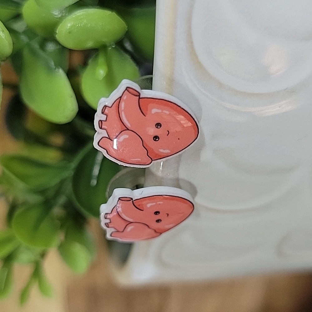 Anatomical Heart Kawaii Stud Earrings, unisex - Picture 5 of 6